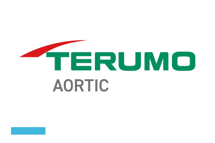 Terumo Aortic case study cover